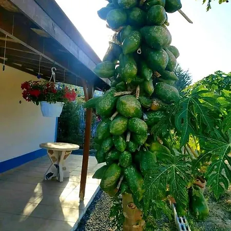 Lapta بيت للعطل