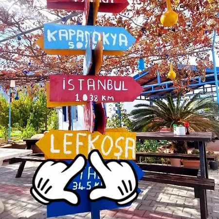 Lapta *