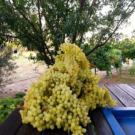 Lapta Tatil Evi *