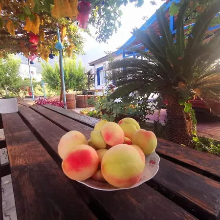 Lapta Tatil Evi Ayvaryara