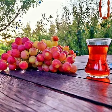 Lapta Tatil Evi Ayvaryara